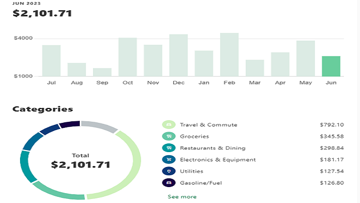 spending analyzer