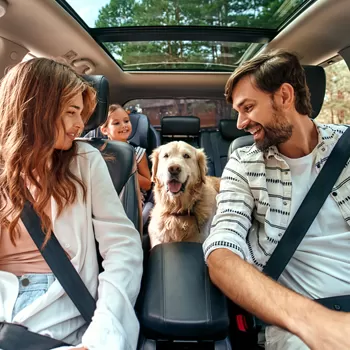 auto loans